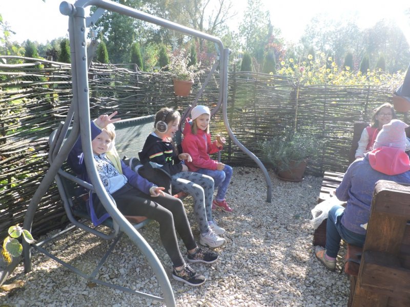 Święto pieczonego ziemniaka 2016